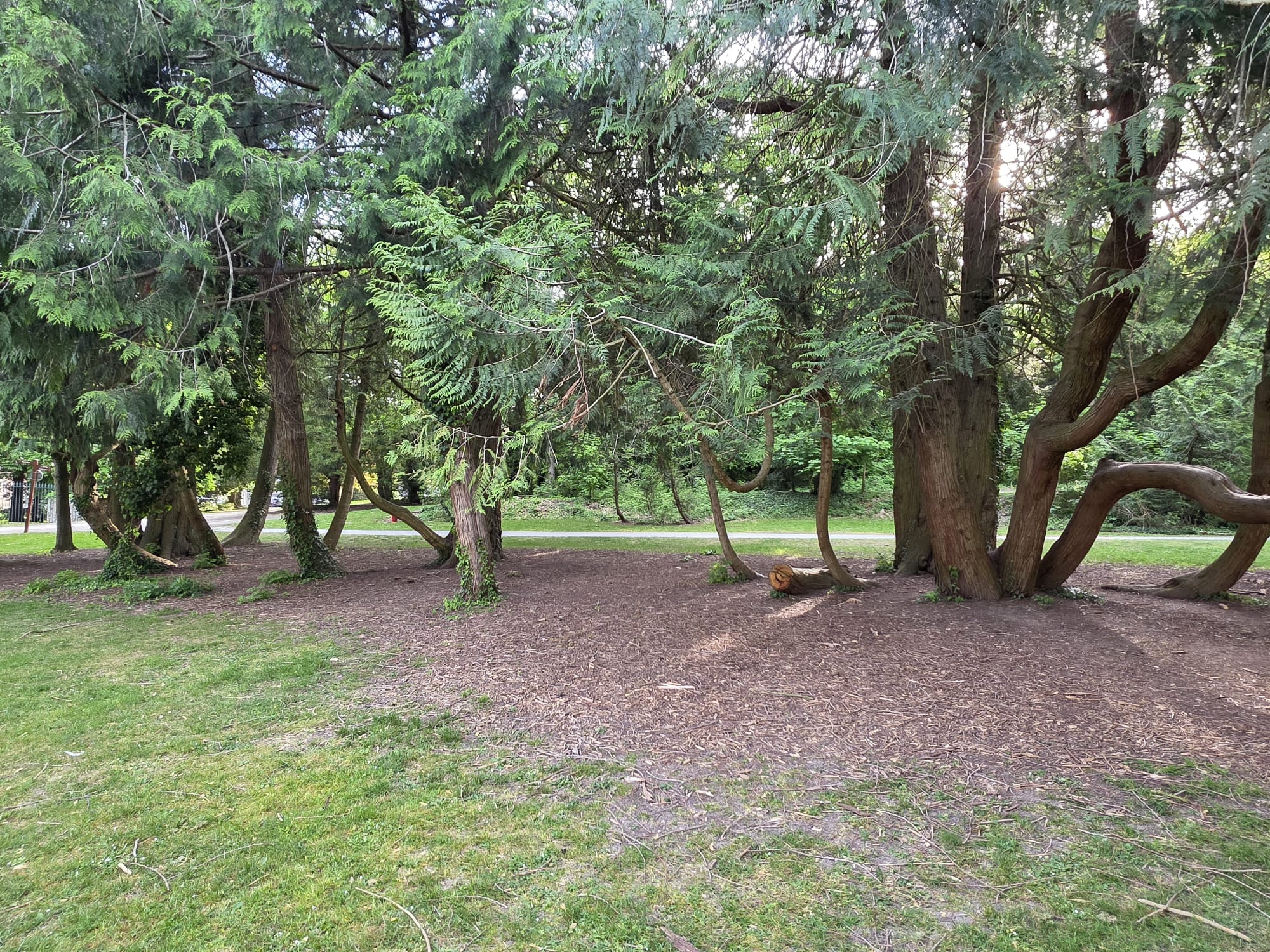 Image 8